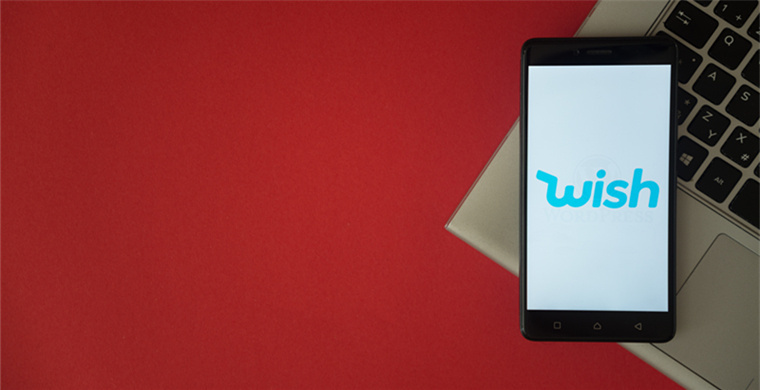 How to Check WhatsApp Online Status? Methods for Checking on Both Mobile and Desktop